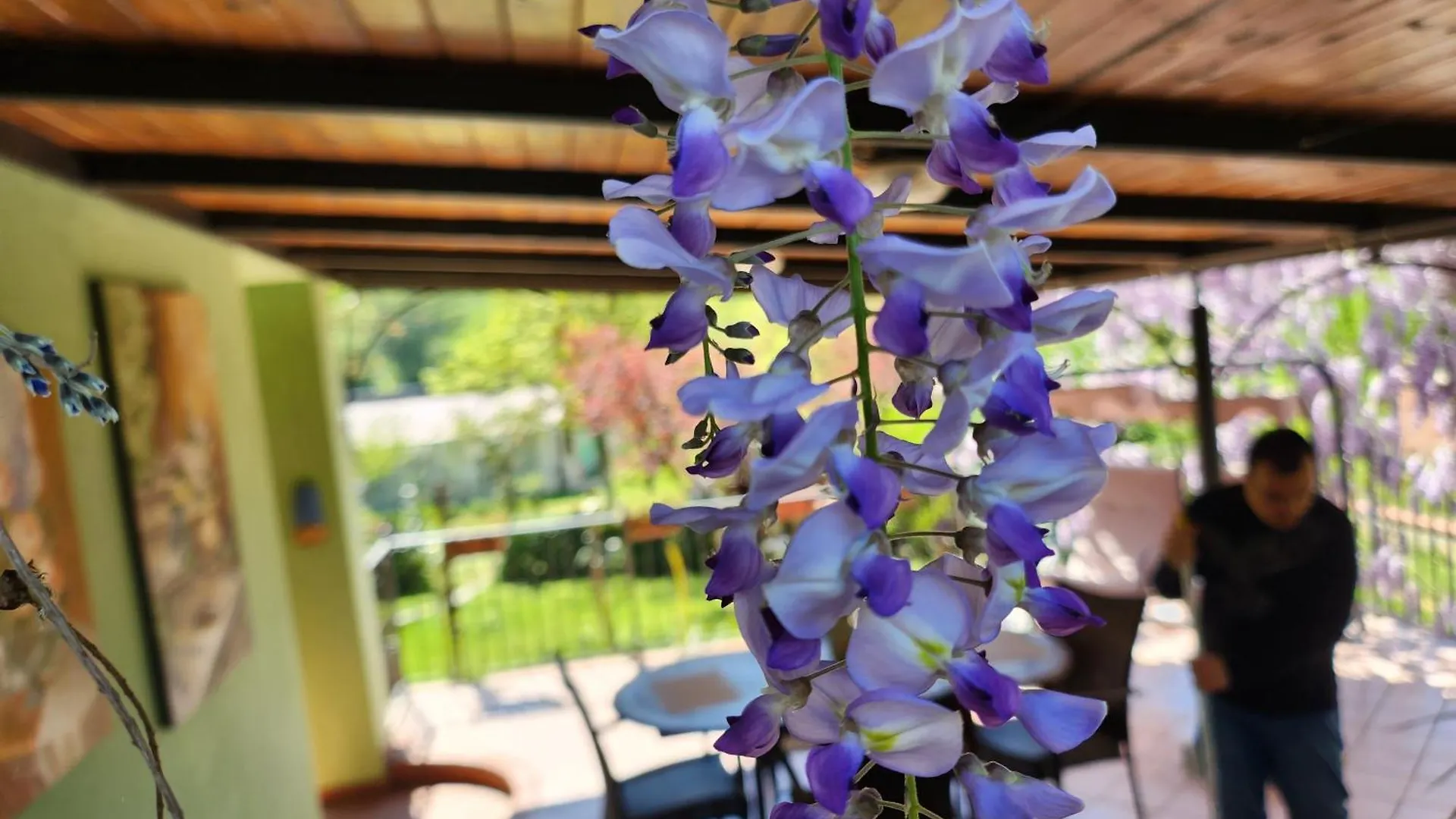 B&B Villa Sabrina Arezzo 2*,
